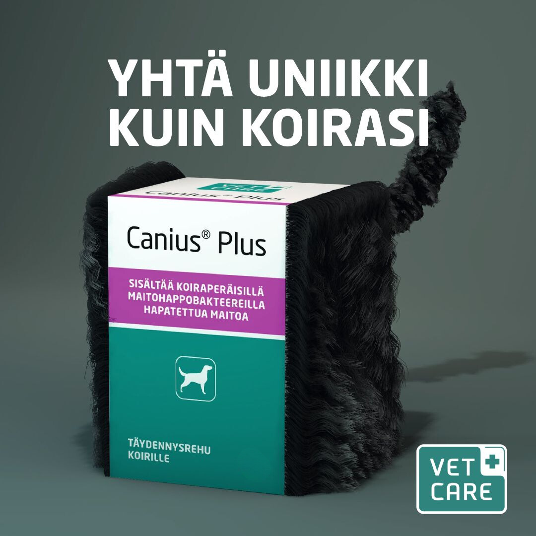 Canius Plus 60 g 35,90 €