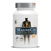 MagneCit magnesiumsitraatti-B6 100 tabl + 20 TABLETTIA KAUPAN PÄÄLLE