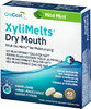 XyliMelts Dry Mouth Mild Mint 40 kpl